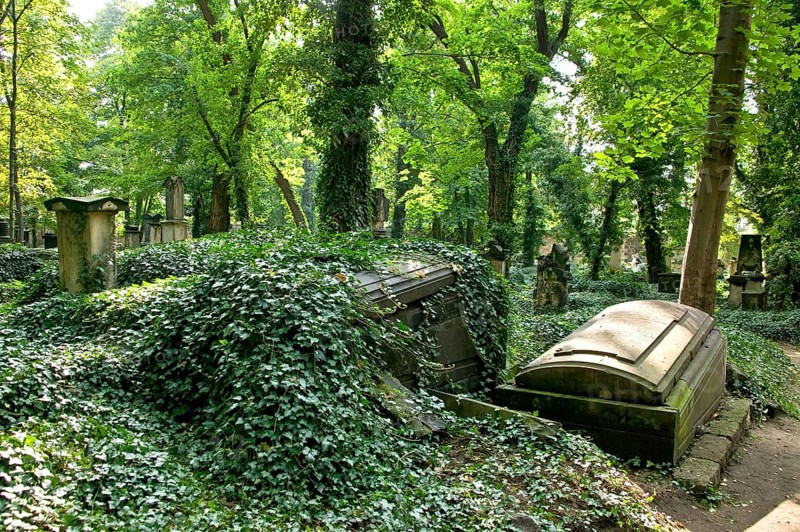 Eliasfriedhof is the oldest preserved cemetery in Dresden and is considered the city's most culturally and historically significant cemetery. The burial site in the Pirnaische Vorstadt, which has been disused since 1876 and was closed by the building authorities in 1928, is a listed building and is now looked after by an association