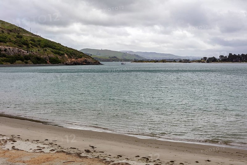 Strand, Otago-Halbinsel, Neuseeland