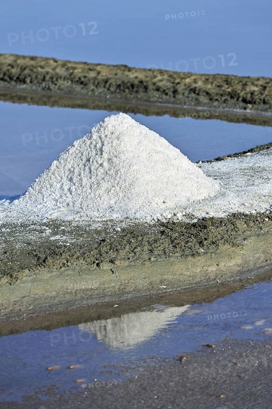 Salt pan for the poduction of Fleur de sel, sea salt on the island Ile de Ré, Charente-Maritime, France, Europe