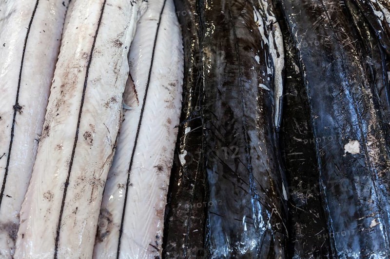 Skinned and unskinned black scabbardfish (Aphanopus carbo), fish market, Mercado dos Lavradores market hall, Funchal, Madeira Island, Portugal, Europe