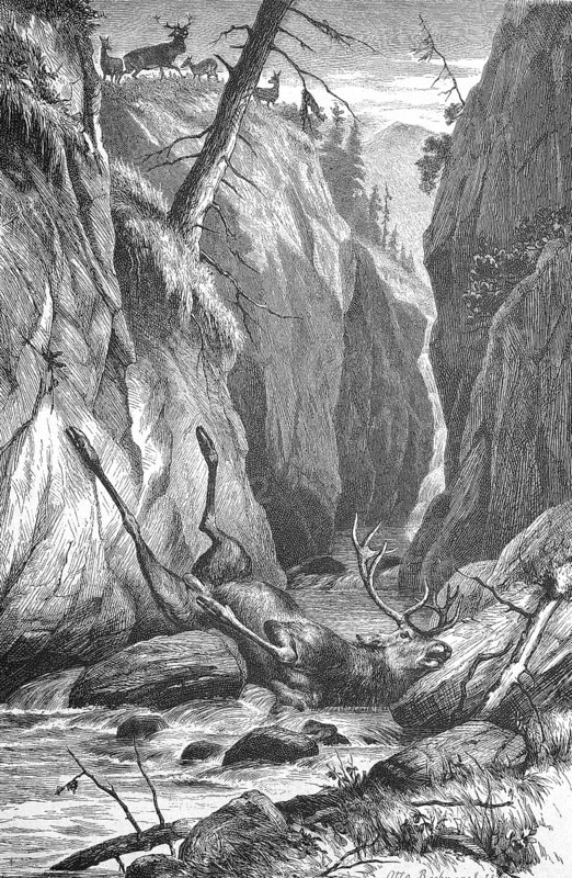 Stag has crashed after a duel on the rocks and lies dead in the stream, Historical, digitally restored reproduction from a 19th century original, Record date not stated