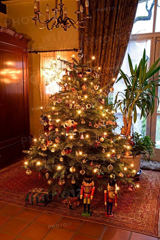 Europe, Germany, Christmas tree, Christmas tree in living room, Christmas, traditional tree decoration with baubles and lights, Hamburg, Hamburg, Federal Republic of Germany, Europe