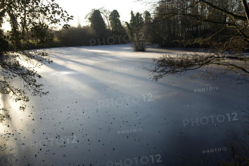 Frozen pond, Loam Ponds, Sutton, Suffolk, England, UK