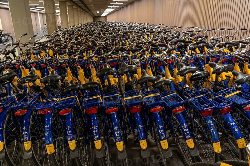 Bicycles at the OV-Fiets rental station, at Utrecht Central Station, hundreds of rental bikes waiting to be used, offer of the Dutch railway NS, for customers, low rental costs, available at almost every station, Utrecht, Netherlands