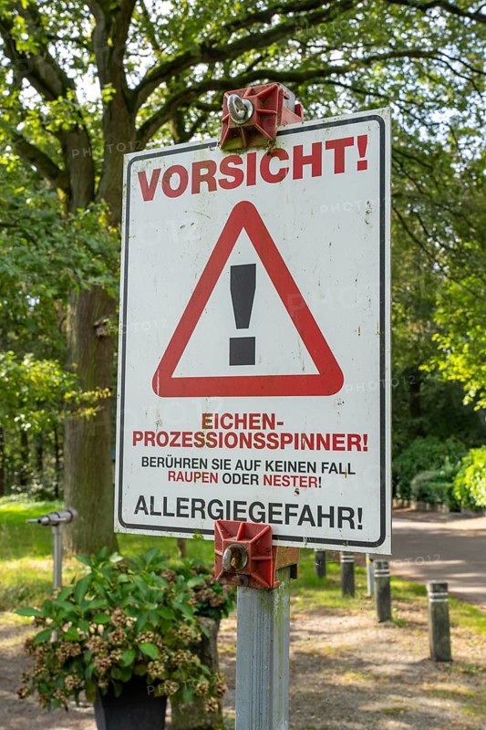 Warning of the oak processionary moth, in a public park, touching can lead to caterpillar dermatitis, allergic reaction to the thaumetopoein contained in the stinging hairs of the caterpillars, it triggers allergic skin reactions, near Straelen, North Rhine-Westphalia, Germany, Europe