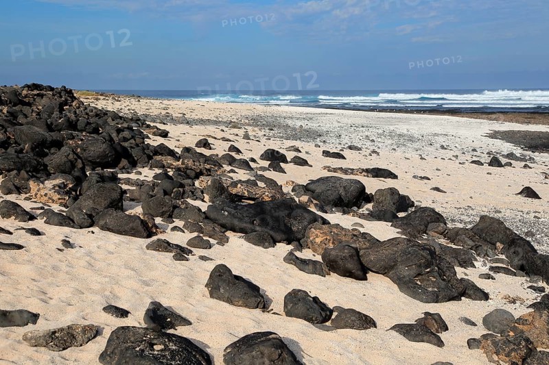 Beach of white sand, near Majanicho on north coast of Fuerteventura, Canary Islands, Spain, Europe