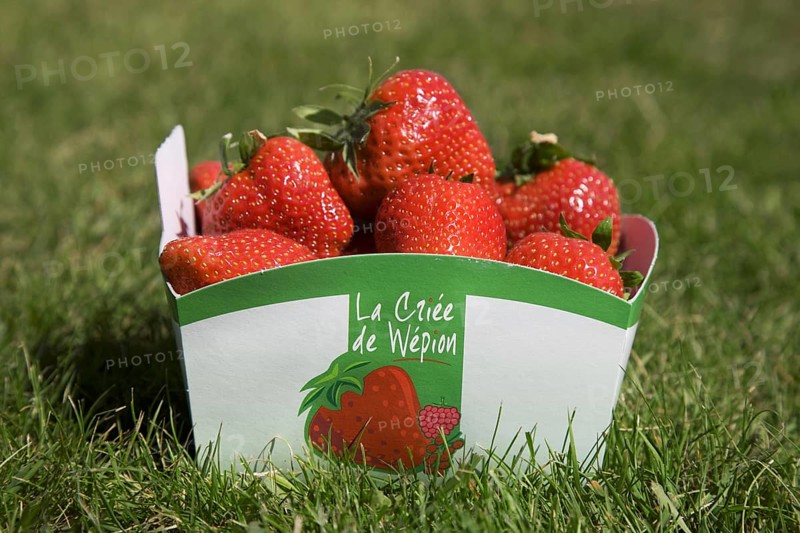 Box filled with the famous fraises de Wépion, Belgian capital of the strawberry near Namur, Belgium, Europe