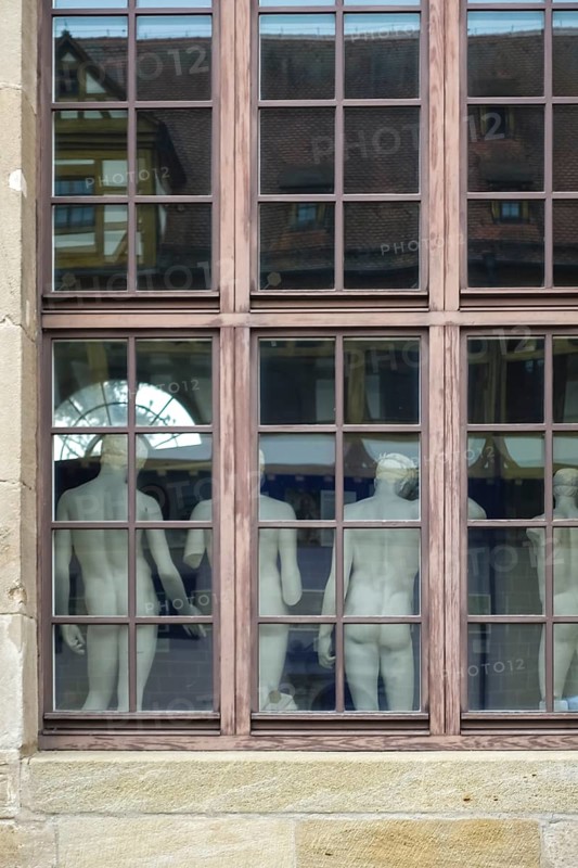 From behind sculptures, male figures, cast collection in the window from the outside, plaster casts, Institute of Classical Archaeology, mullioned window, Hohentübingen Castle, Museum of the University of Tübingen MUT, higher education institution, historical building, place of learning, Renaissance complex built in the 16th century, in the castle courtyard, Eberhard Karls University of Tübingen, Tübingen, Baden-Württemberg, Germany, Europe