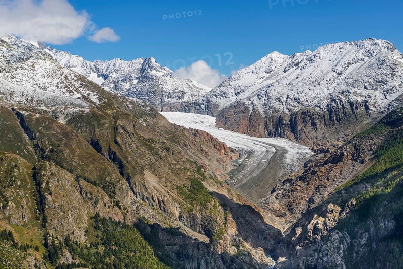 Panorama trail from Belalp to Riederfurka, Aletsch Glacier, Hiking, Hiking, Mountain hiking, Tourism, Valais, Switzerland, Europe