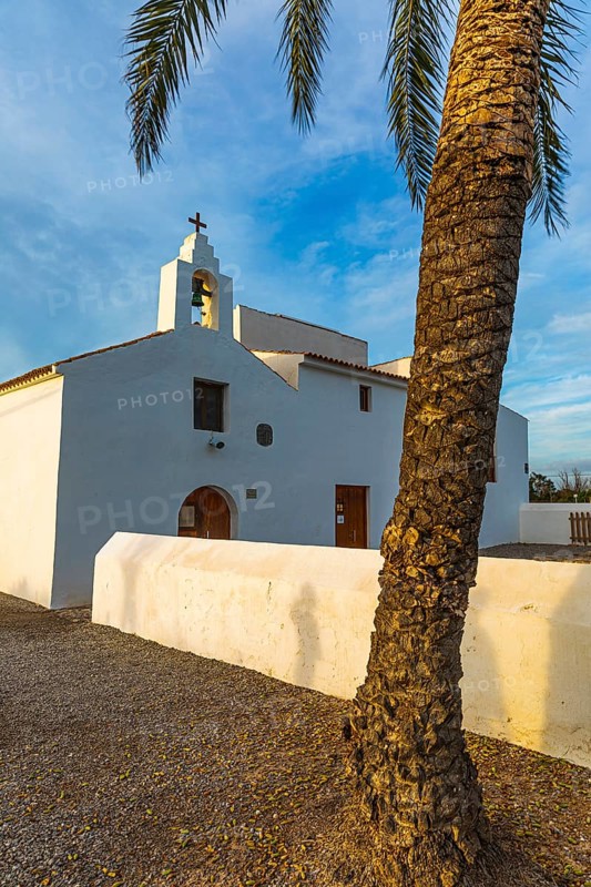 Palm tree in front of the church Sant Francesc de s'Estany, Ibiza, Balearic Islands, Mediterranean Sea, Spain, Europe
