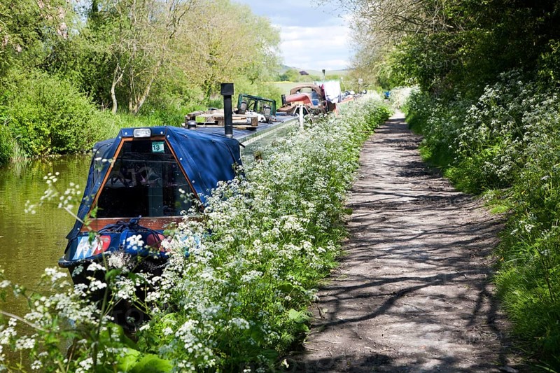 Kennet and Avon canal stretch between All Cannings and Alton Barnes, Vale of Pewsey, Wiltshire, England, United Kingdom, Europe