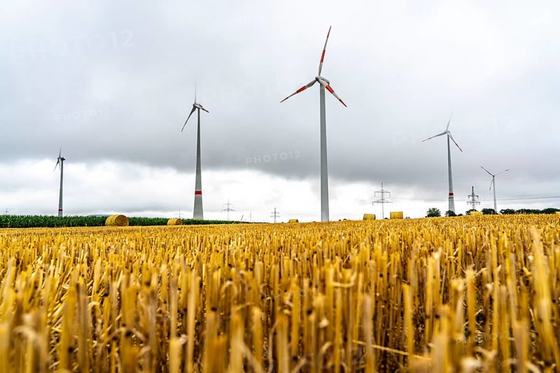 Power lines, high-voltage power lines, wind turbines, grain field, north-east of Höxter, North Rhine-Westphalia, Germany, Europe