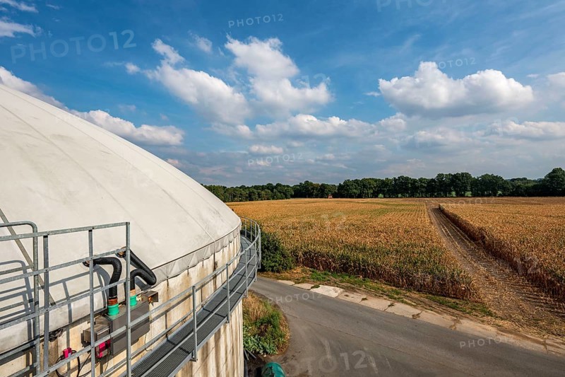 Biogas plant, gas storage, with dome, use of solid manure as energy source, gas pipelines, on a farm near Lippling, close to Delbrück in East Westphalia, in the district of Paderborn, 1.5 megawatts of electrical power, production of district heating for homes in the region, North Rhine-Westphalia, Germany, Europe