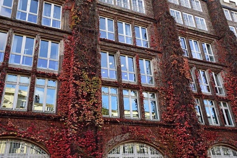 Europe, Germany, Hamburg, Rotherbaum, architecture, facade post office building, former telecommunications building in Schlüterstraße, facade overgrowth, Wild Vine, autumn, Hamburg, Hamburg, Federal Republic of Germany, Europe