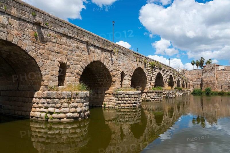 Stone bridge over a river, surrounded by a city wall and palm trees, under a blue sky, Roman bridge, Puente Romano, arched bridge with wedge stone vault, Guadiana River, Mérida, Merida, Badajoz, Extremadura, Spain, Europe