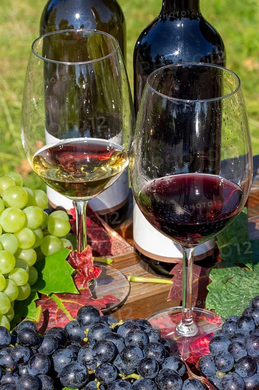 Symbolic image of grape grape harvest: Ripe grapes decorated with wine glasses on a wooden table