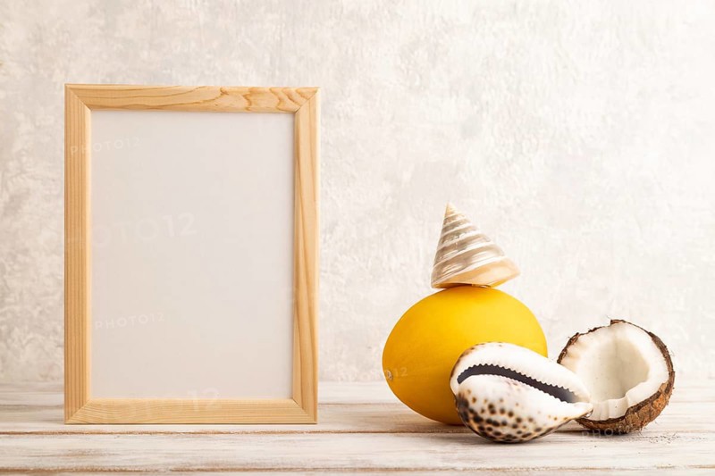 Wooden frame with melon, coconut, seashells on gray concrete background. Side view, copy space. Tropical, healthy food, vacation, holidays concept