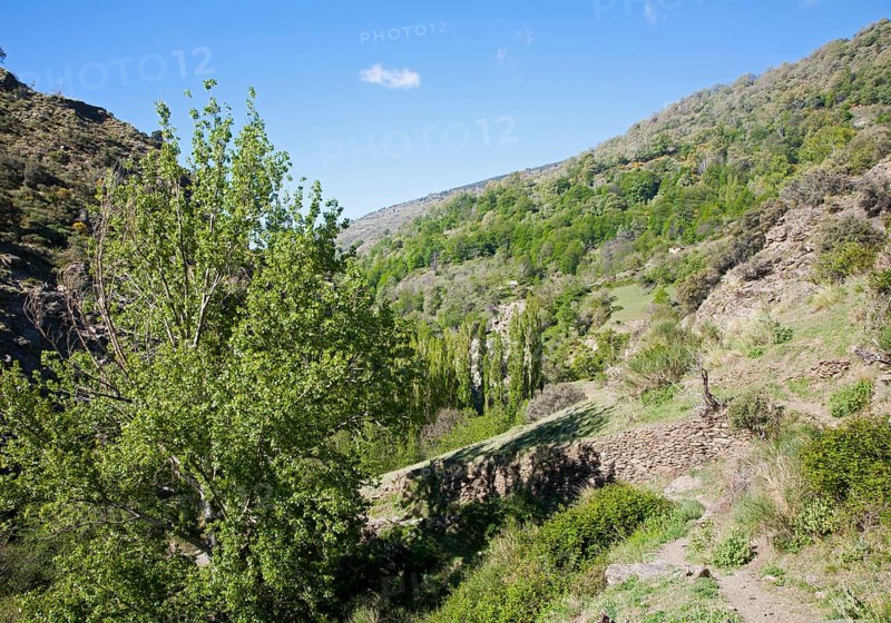 Landscape of the River Rio Poqueira gorge valley, High Alpujarras, Sierra Nevada, Granada Province, Spain, Europe