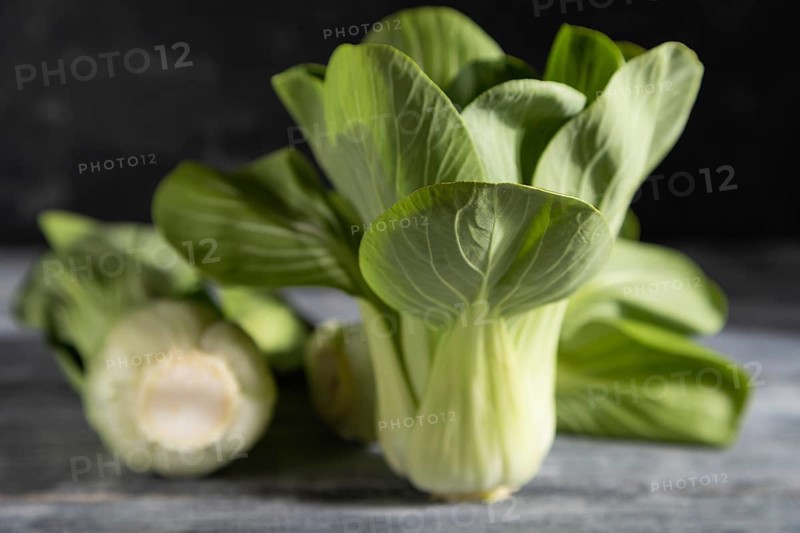 Fresh green bok choy or pac choi chinese cabbage on a gray wooden background. Hard light, contrast, dark, moody. Side view, close up, selective focus