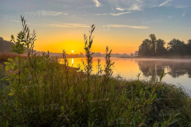 Foggy mood, sunrise on the Elbe, biotope, habitat, Elbe meadows, floodplain landscape, river course, delta, Elbe river landscape, flowing water, sunrise, autumn mood, Middle Elbe Biosphere Reserve, Saxony-Anhalt, Germany, Europe