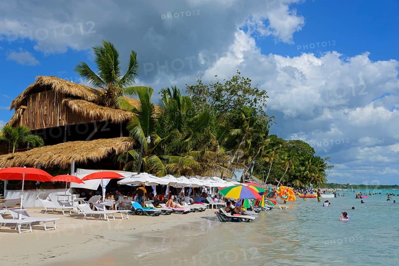 People enjoying the sun on a tropical beach with palm trees and parasols, Boca Chica, Santo Domingo Province, Dominican Republic, Hispaniola, Caribbean, America, Central America