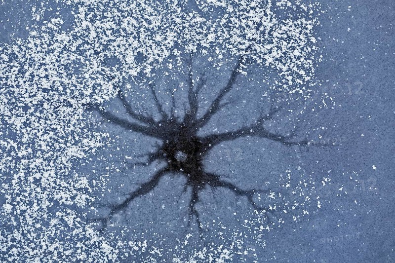 Winter flood 2024 on the rivers Elbe and Mulde with flooding of the meadows, close-up of ice structures on the meadows due to flooding in winter, bizarre ice formations, nerve cell in the ice, Middle Elbe Biosphere Reserve, Dessau-Roßlau, Saxony-Anhalt, Germany, Europe