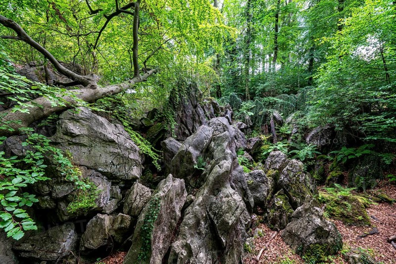 The Felsenmeer in Hemer, Sauerland, geotope, with rugged rock formations, nature reserve, North Rhine-Westphalia, Germany, Europe