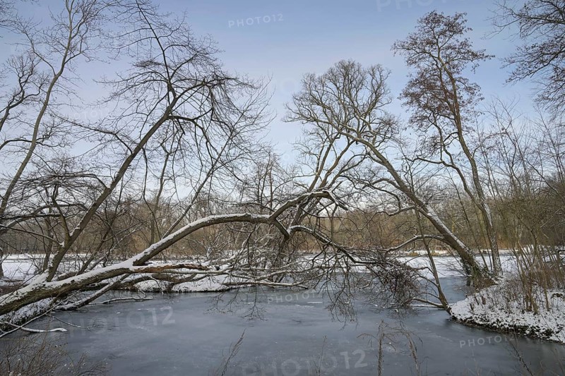 Winter, carp pond, ice, Treptower Park, Treptow, Treptow-Köpenick, Berlin, Germany, Europe