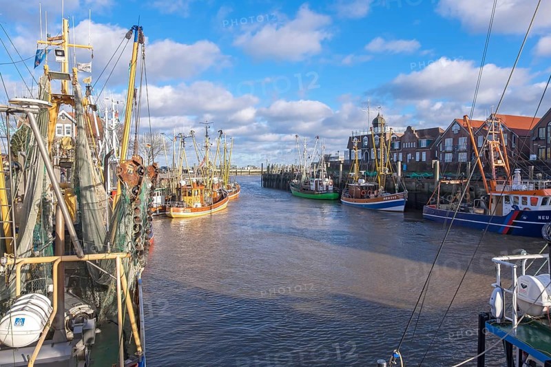 Cutter harbour Neuharlingersiel, shrimp cutter, East Frisia, Lower Saxony, Germany, Europe