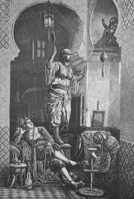 The thieving monkey. Monkey has stolen a necklace in the harem, Concubines, Orient, Arabia, Historical, Digitally restored reproduction from a 19th century original, Record date not stated