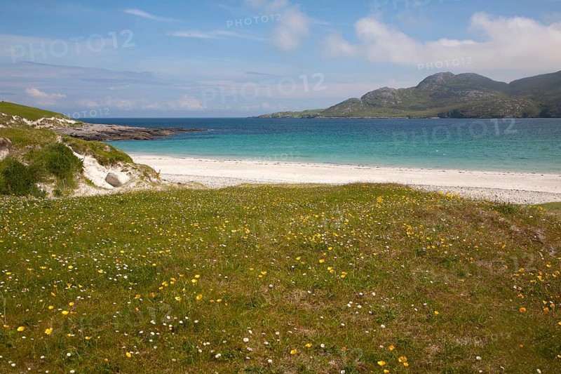 Machair grassland and sandy beach at Bagh a Deas, South Bay, Vatersay island, Barra, Outer Hebrides, Scotland, UK