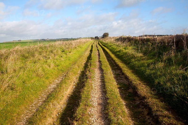 The Ridgeway long distance footpath dating from prehistory near its start on Overton Hill, Marlborough Downs, Wiltshire, England, UK