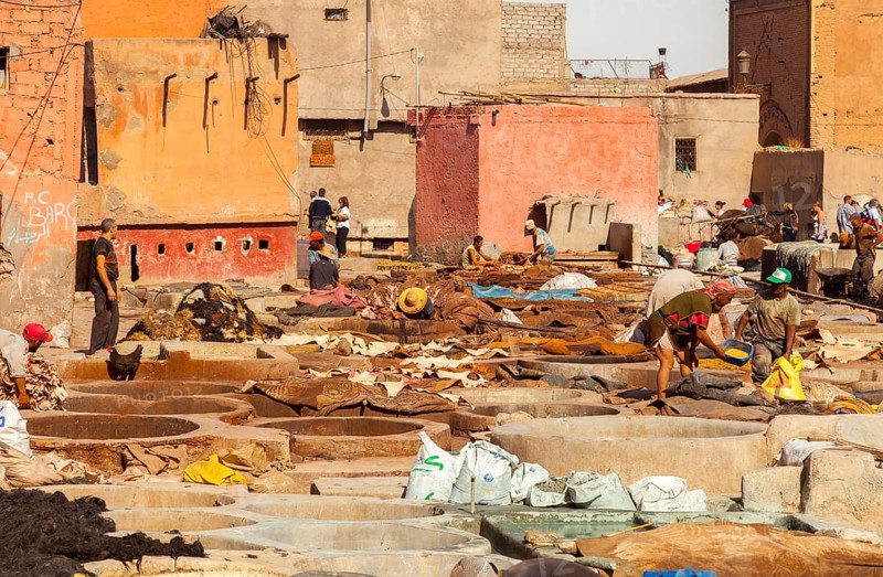 Traditional tannery with dyeing vats for animal skins, Marrakech, Morocco, Africa