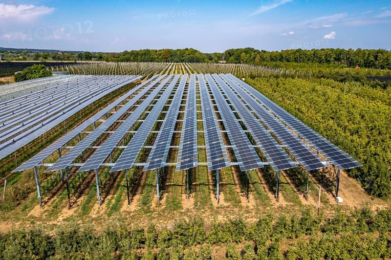 Agri-photovoltaic test plant, an apple orchard with two different systems of PV modules was roofed over 3000 square metres, rain and sunlight comes through, at the same time protection against hail and heavy rain, next to it are the same trees but without a solar roof, as a comparison object, how the PV roof affects the trees and harvest, the field test is accompanied by the Fraunhofer Institute for Solar Energy Systems ISE, in Grafschaft-Gelsdorf, Rhineland-Palatinate, Germany, Europe