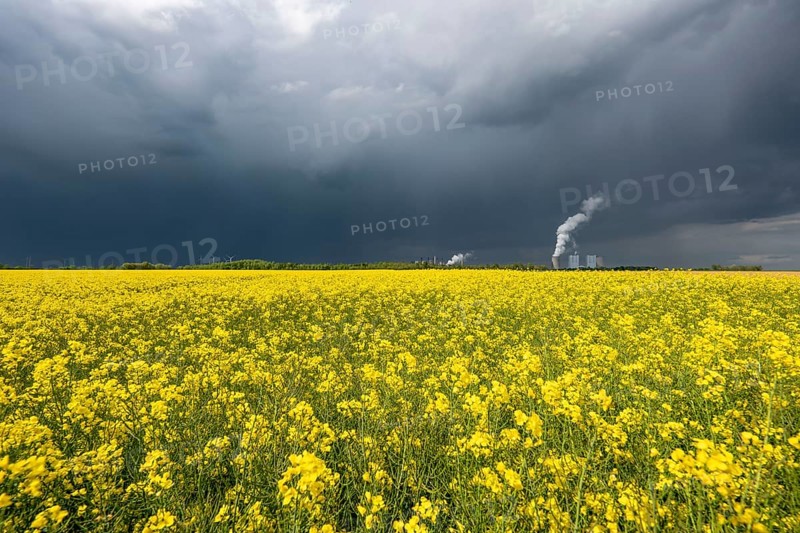 Neurath lignite-fired power station, near Grevenbroich, RWE Power AG, storm clouds over the Rhenish lignite mining area, rape field, North Rhine-Westphalia, Germany, Europe