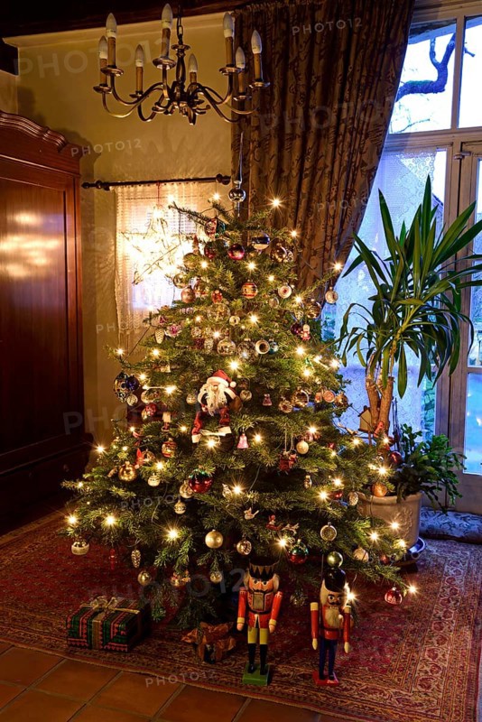 Europe, Germany, Christmas tree, Christmas tree in living room, Christmas, traditional tree decoration with baubles and lights, Hamburg, Hamburg, Federal Republic of Germany, Europe