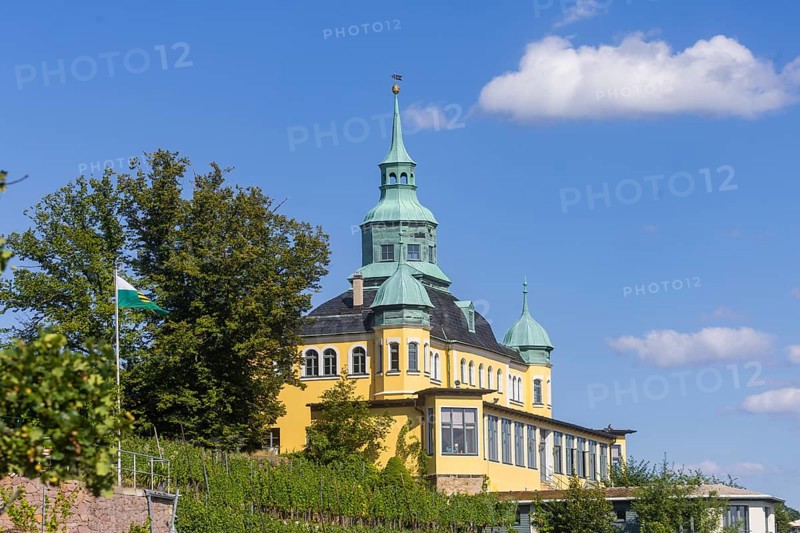 Weingut am Goldenen Wagen. The Spitzhaus is a former summer residence in the Saxon town of Radebeul. The building, which can be seen from afar, is located on the edge of the slope of the Elbe valley basin above Hoflößnitz in the Oberlößnitz district. Even after its renovation and reopening in 1997, the heritage-protected (1) landmark of Radebeul at Spitzhausstraße 36 still serves as an excursion restaurant with a sweeping view over the Elbe valley and as far as Dresden, vineyards in Radebeul, Radebeul, Saxony, Germany, Europe