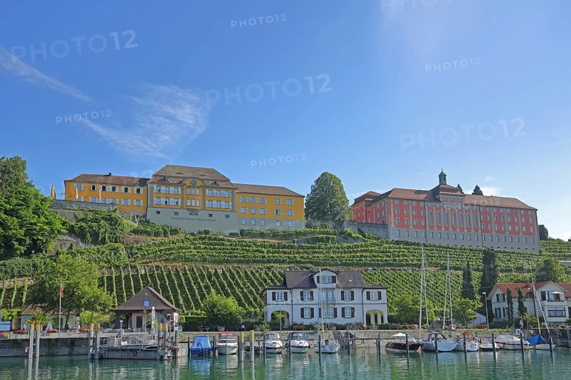 View of former yellow riding stable, today's state winery and Droste-Hülshoff-Gymnasium with grapevines, harbour with boats, quay, marina, shore, Meersburg, Obersee, Lake Constance, Lake Constance area, Baden-Württemberg, Germany, Europe