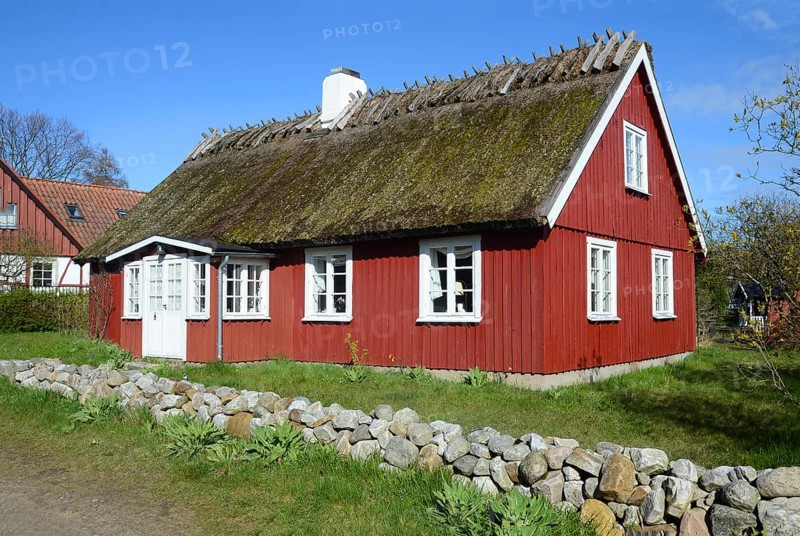 Red thatched cottage in Knäbäckshusen, a small fishing village near Rörum, Simrishamn municipality, Skåne County, Sweden, Scandinavia, Europe