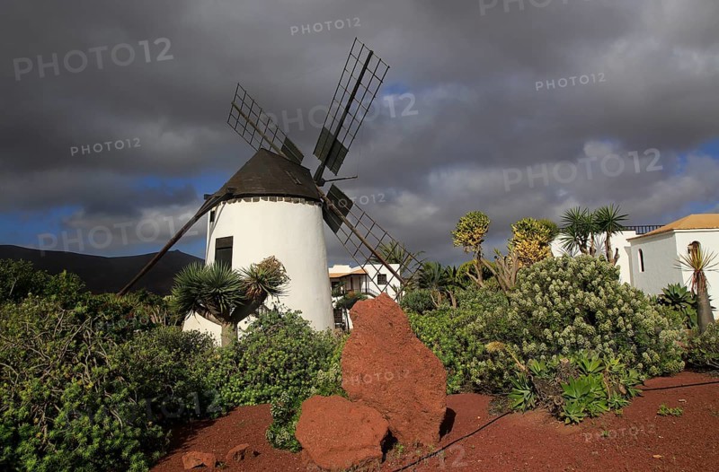 Windmill and garden at Centro de Artesania Molinos de Antigua, Fuerteventura, Canary Islands, Spain, Europe