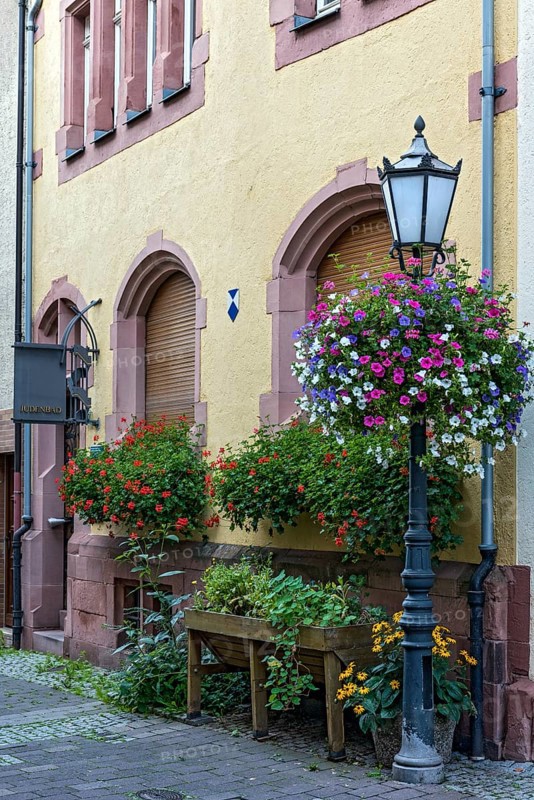 Jewish bath, historic medieval mikvah, facade, alleyway lamp decorated with flowers, Judengasse, Jewish quarter, old town, Friedberg, Wetterau, Hesse, Germany, Europe