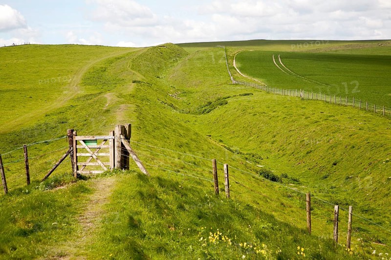 Ditch and embankment of the Wansdyke a Saxon defensive structure on All Cannings chalk downs near Tan Hill, Wiltshire, England, United Kingdom, Europe