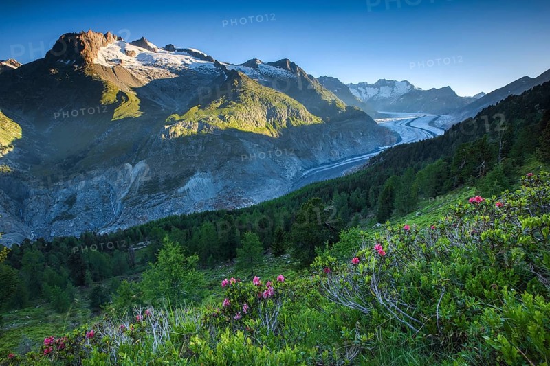 Fusshörner, Wannenhörner and Aletsch Glacier, Switzerland, Europe