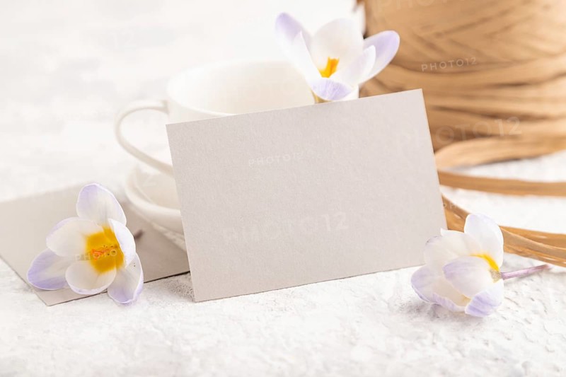 Gray paper invitation card, mockup with purple crocus snowdrop flowers on gray concrete background. Blank, side view, still life, copy space, wedding invitation