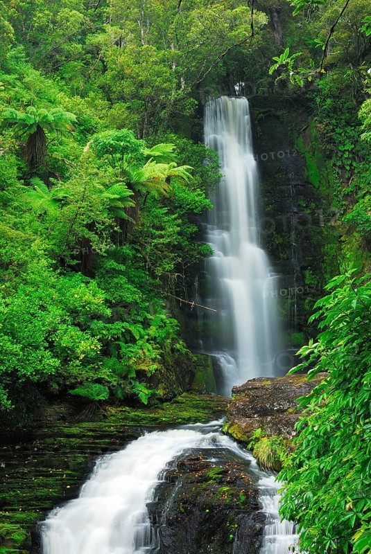 Mac Lean Falls, Catlins Forest Park, Otago, South Island New Zealand, Otago, South Island, New Zealand, Oceania
