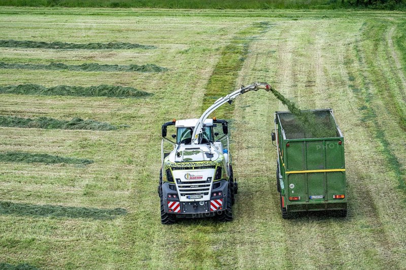 Hay harvest, on a Rhine meadow near Duisburg-Beeckerwerth, a forage harvester picks up the cut grass, which was piled up in strips after cutting, and loads it into a silage wagon, cattle feed, North Rhine-Westphalia, Germany, Europe