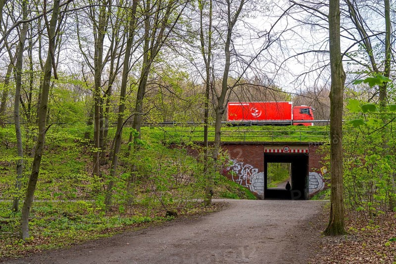 The Sterkrader Wald in Oberhausen, at the Oberhausen motorway junction, where the A2/A3A/A516 meet, it is to be expanded, 11 hectares of forest, around 5, 000 trees are to be felled for this, strong resistance to the plans has formed in the region, #Sterkibleibt, North Rhine-Westphalia, Germany, Europe