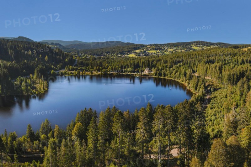 Windgfällweiher, Black Forest, Baden-Württemberg, Germany, Titisee, Baden-Württemberg, Germany, Europe