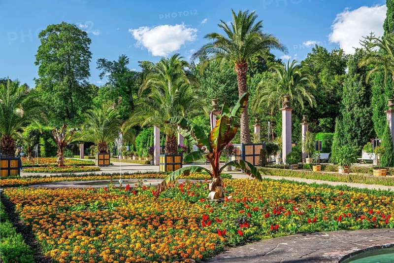 Palm garden in the spa gardens, the largest outdoor palm garden north of the Alps, spa town of Bad Pyrmont, Lower Saxony state spa, Emmer, Emmertal, Weserbergland, Lower Saxony, Germany, Europe