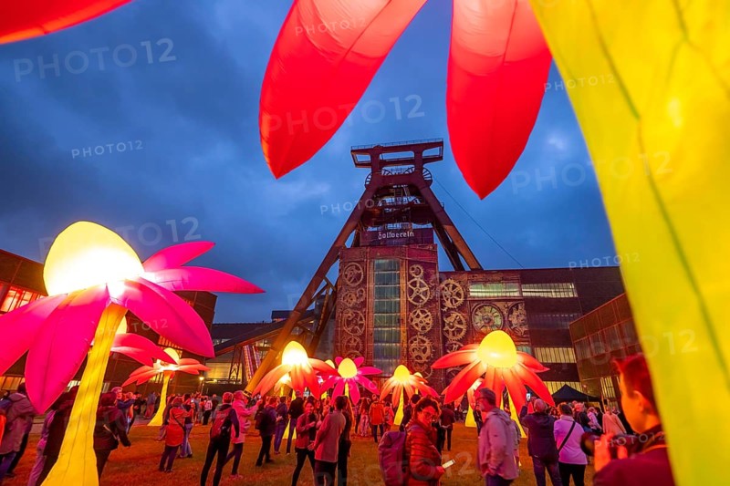 Extraschicht, the long night of industrial culture, cultural festival across the Ruhr region, 35 venues in 19 cities, here Illuminating flowers at the Zeche Zollverein in Essen, Doppelbock pithead winding tower shaft 12, North Rhine-Westphalia, Germany, Europe